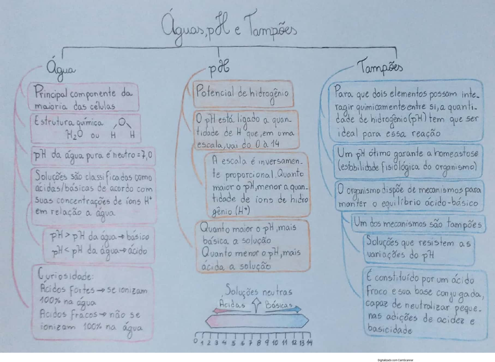 mapa mental Bioquímica I