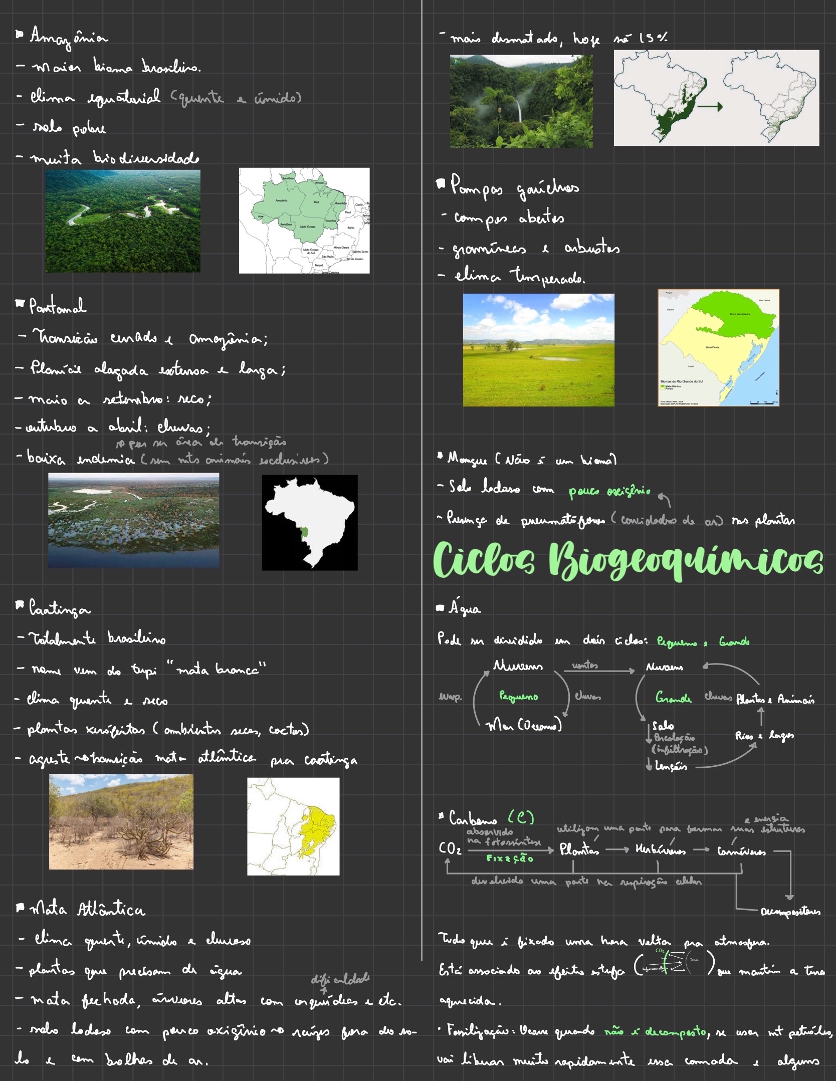 Resumo Biomas e Ciclos Biogeoquímicos 3 Biologia