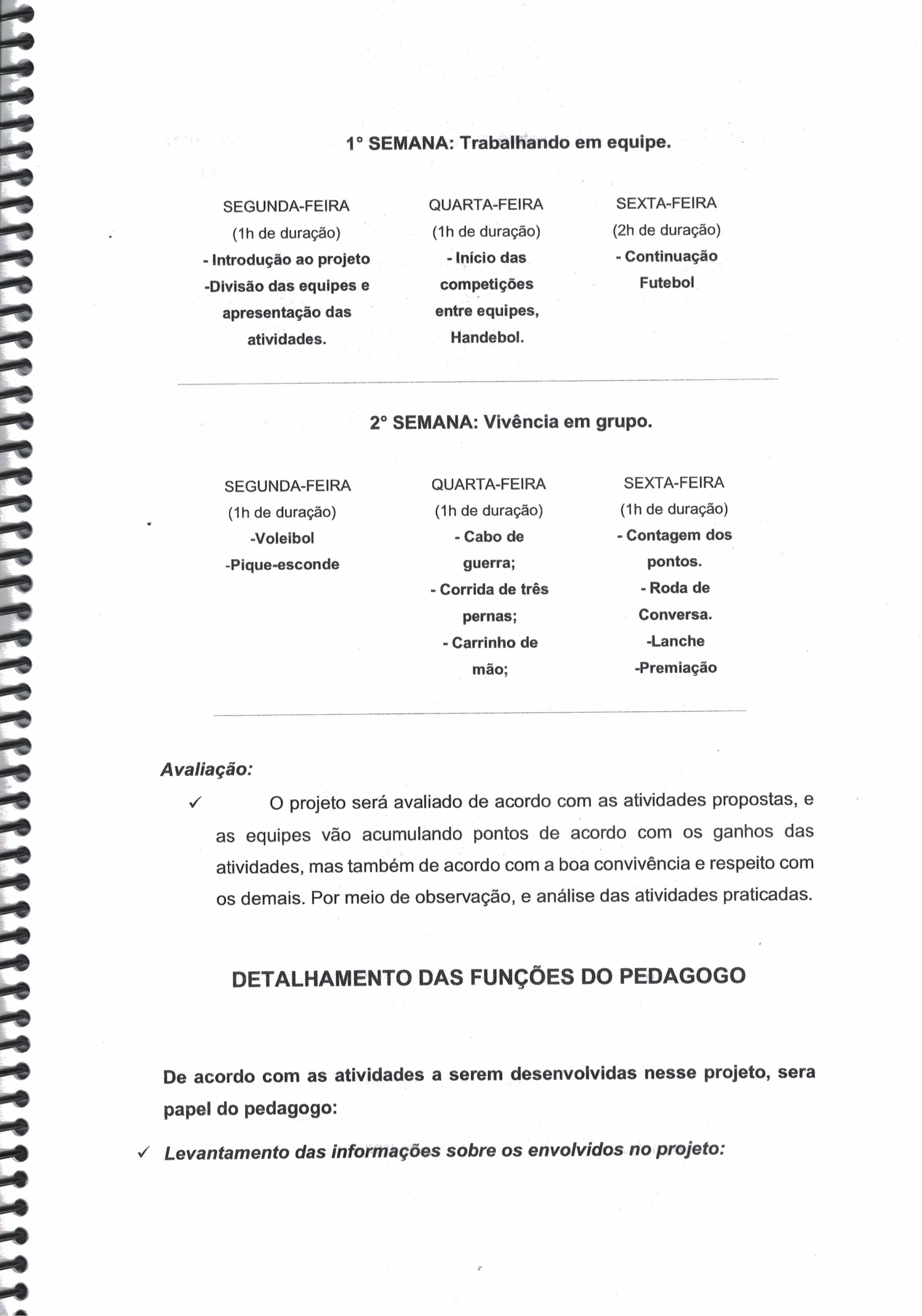 Modelo Estágio Ambientes Não Escolar 4 Estagio Gestao em Ambientes