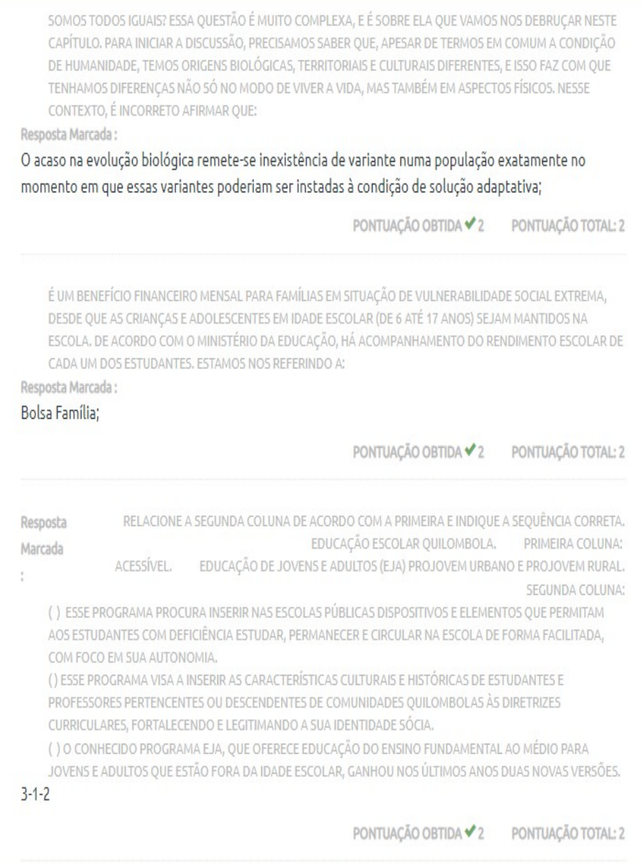 Questionário II Diversidade Ètnico Racial História