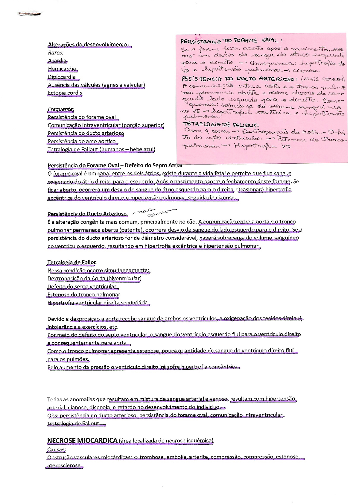 PATOLOGIA DO SISTEMA CARDIOVASCULAR Cardiologia Veterinária