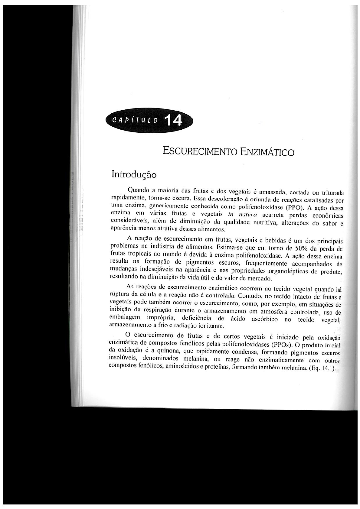 Escurecimento enzimático química de alimentos teoria e prática