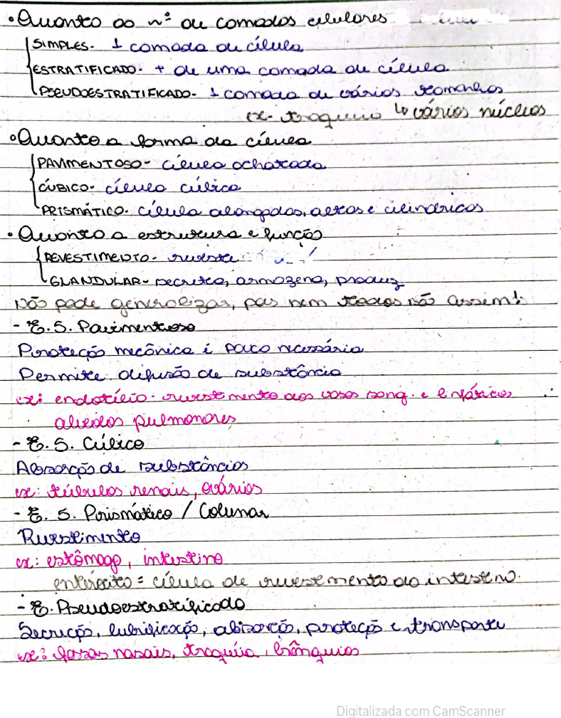 Tecido Epitelial Histologia I