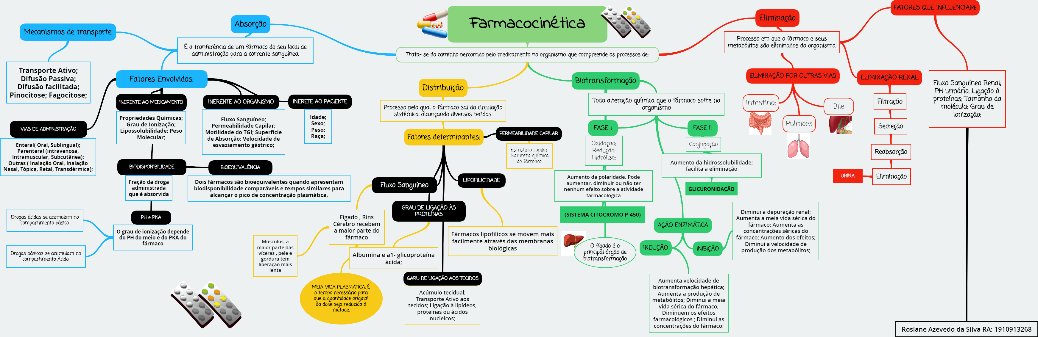 Mapa Mental Farmacocinetica E Farmacodinamica