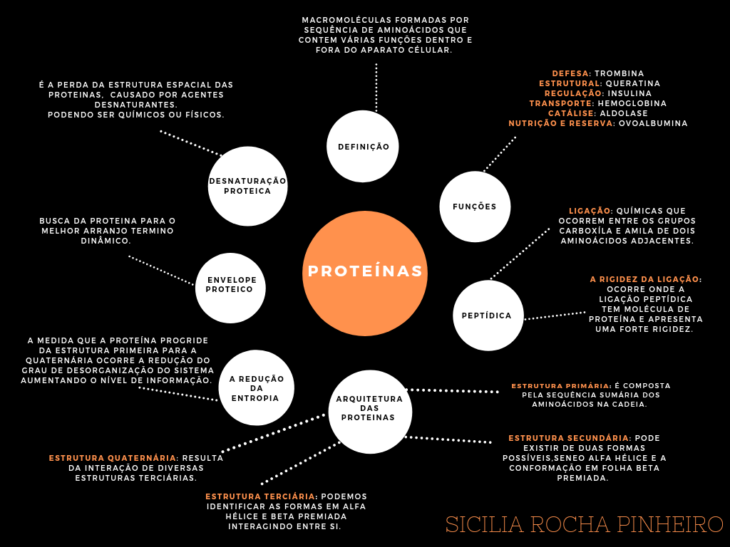 Mapa Metabolico Proteina Bioquimica Geral