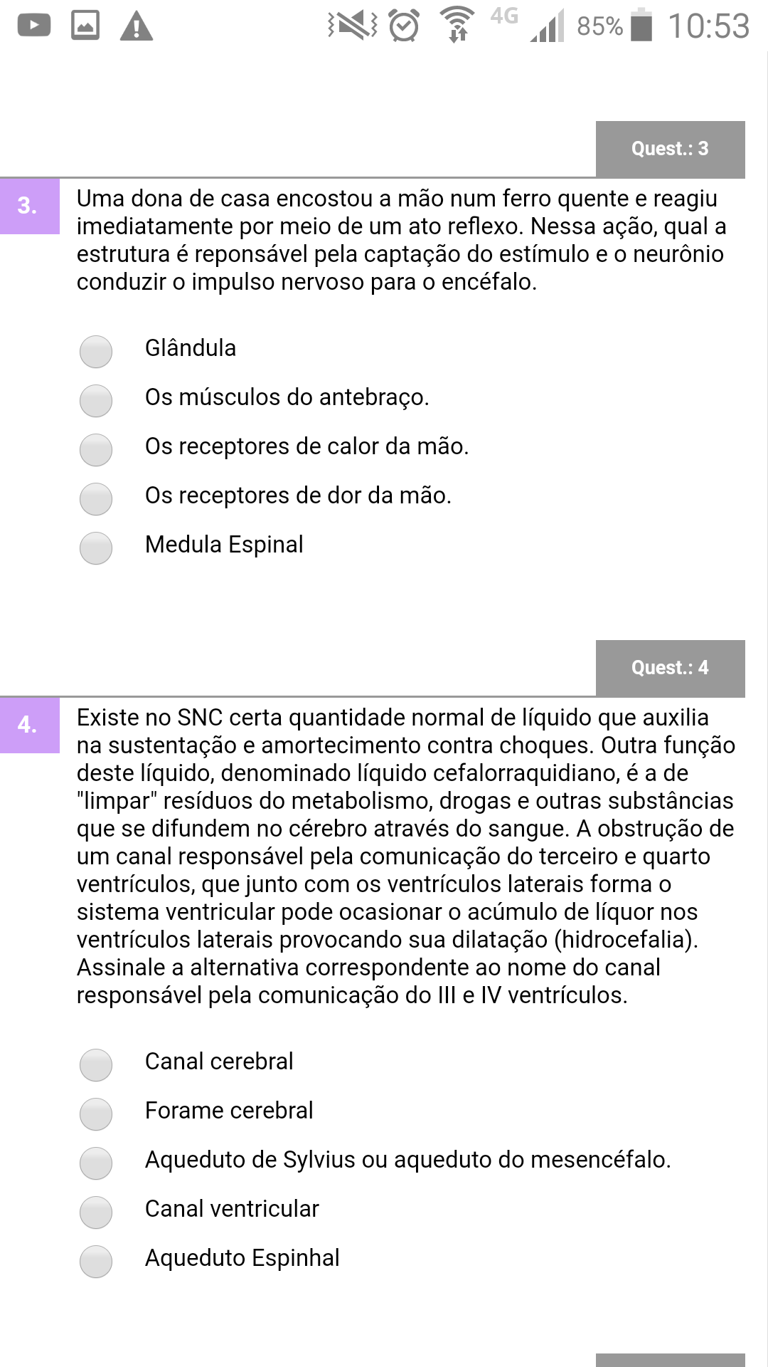 avaliando aprendizado av3 anatomia Anatomia Clínica