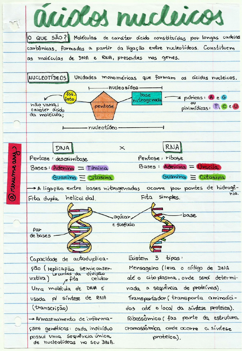 Mapa Mental Biologia Molecular Biomedicina