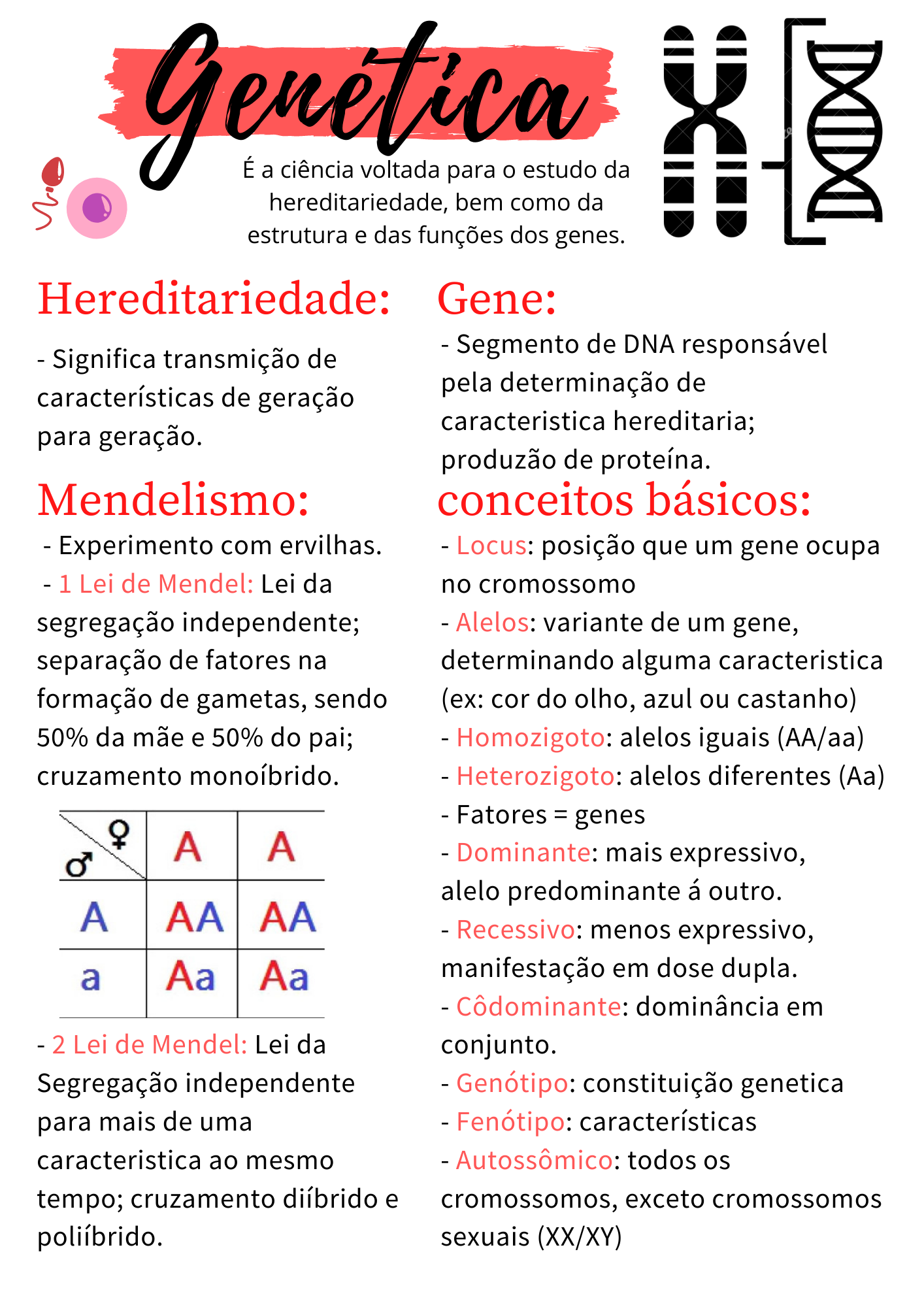 Conceitos B Sicos De Gen Tica Pdf Retoedu