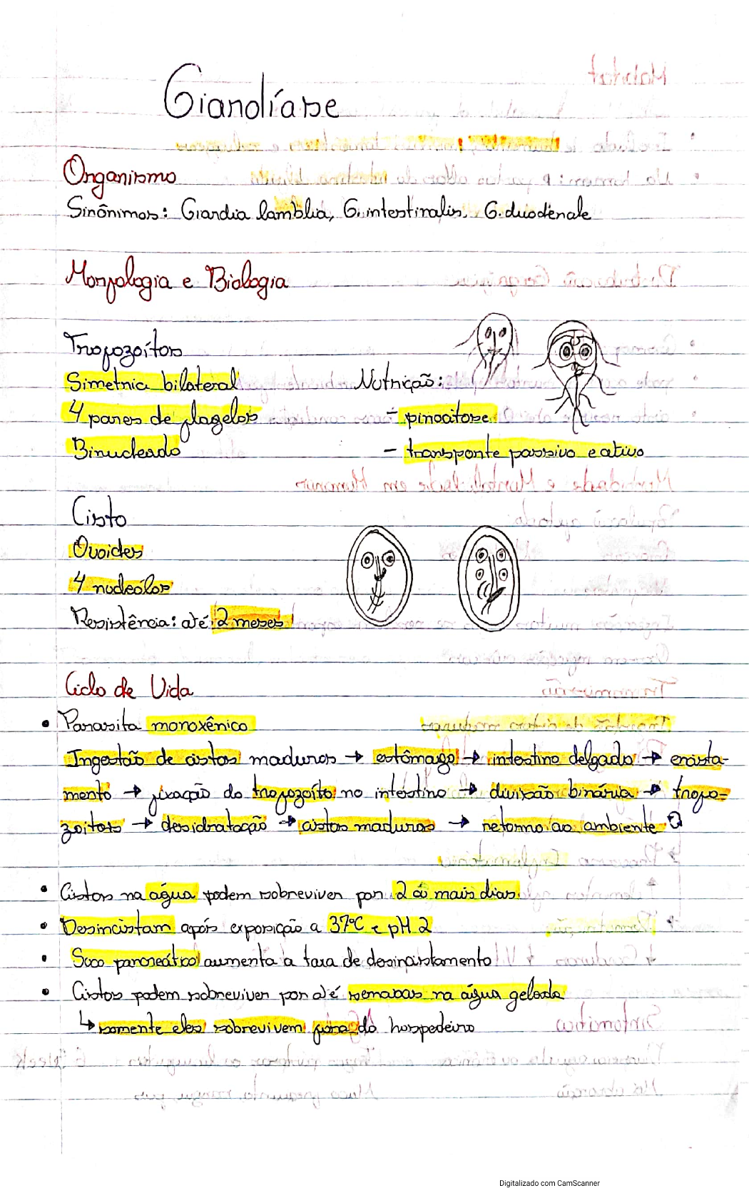 Giardíase completo Giardia lamblia morfologia ciclo de vida