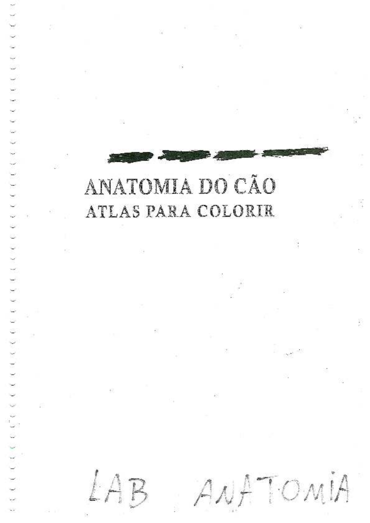 Anatomia do cao para colorir 1 Clínica Médica de Pequenos Animais