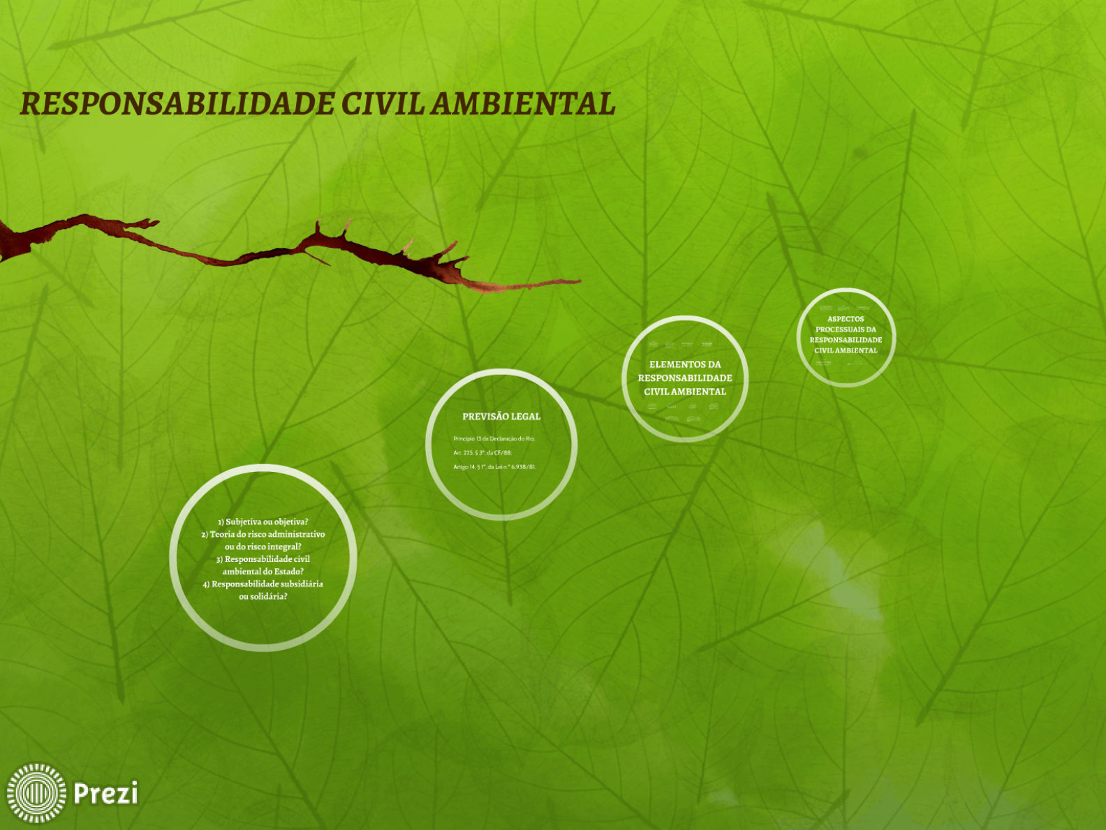 Slides De Direito Ambiental Sobre A Responsabilidade Civil Ambiental