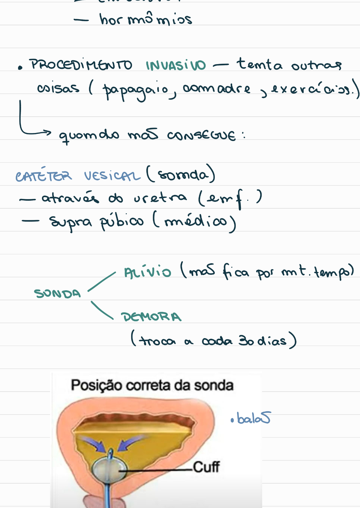 Resumo Sondagem Vesical Cuidados De Enfermagem