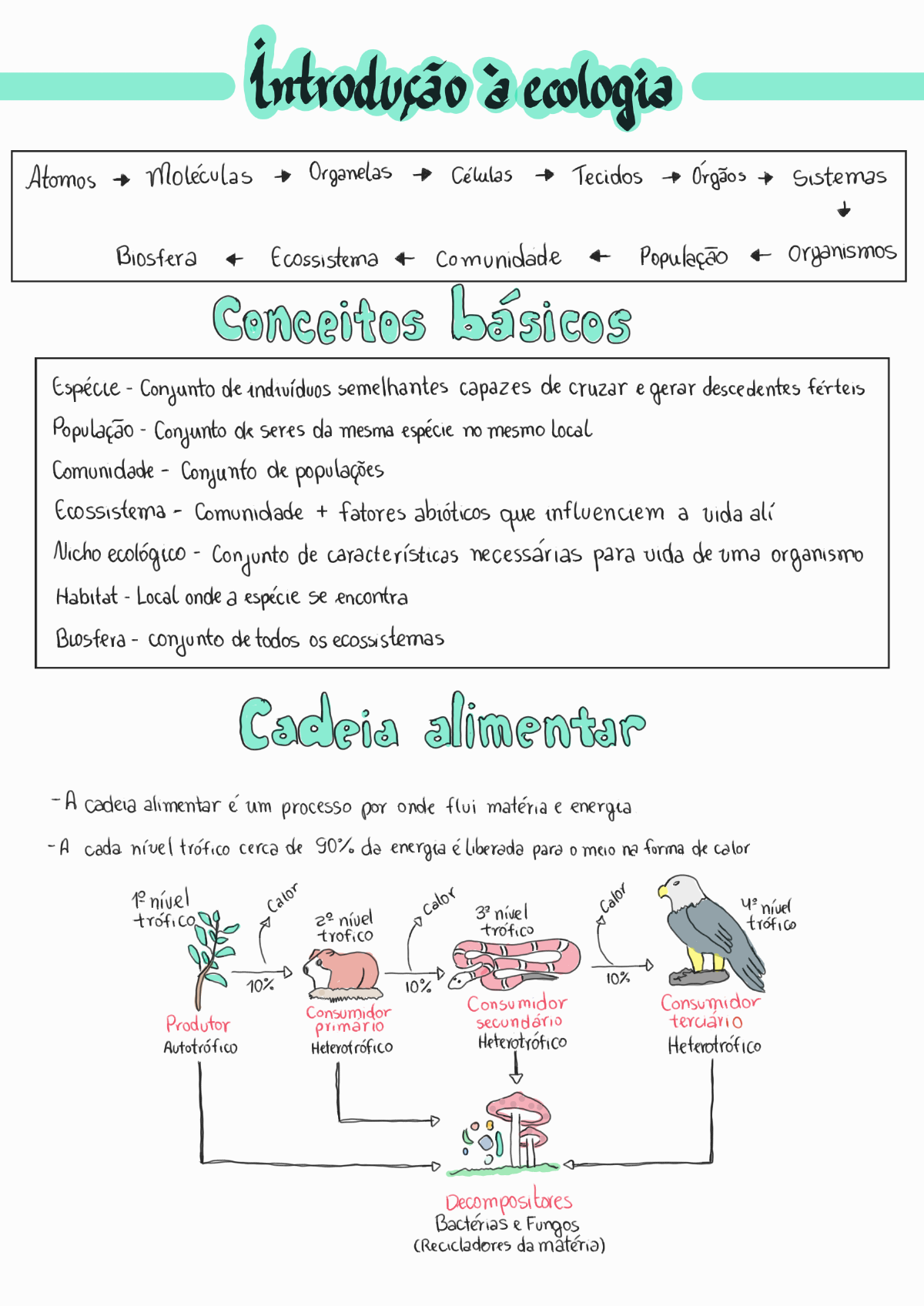 Introdu O Ecologia Biologia