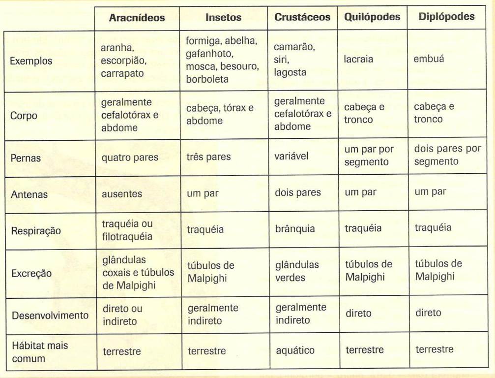 Tabela Classes dos Artrópodes Biologia