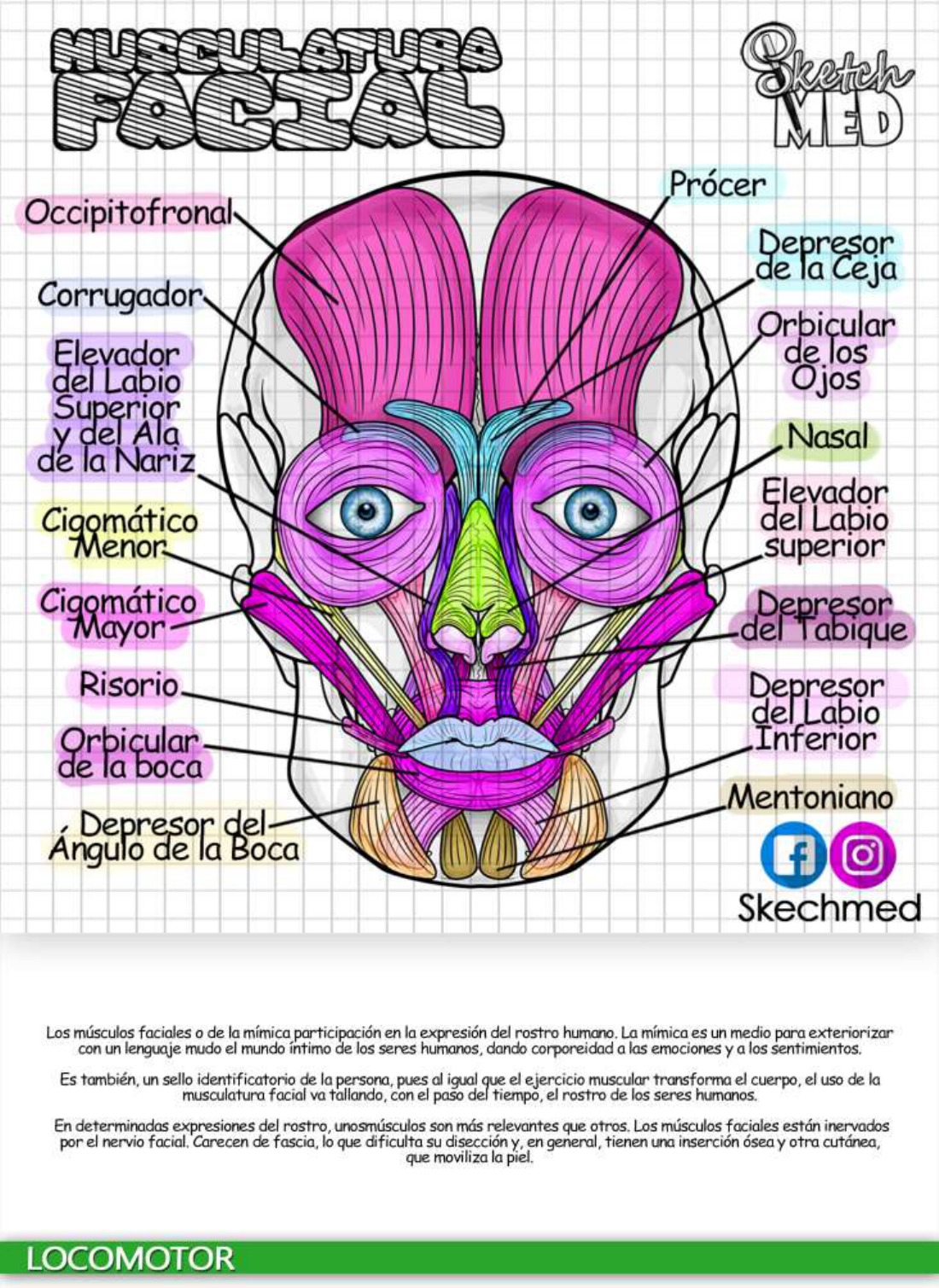 SketchMed Ilustraciones Médicas M Medicina Legal