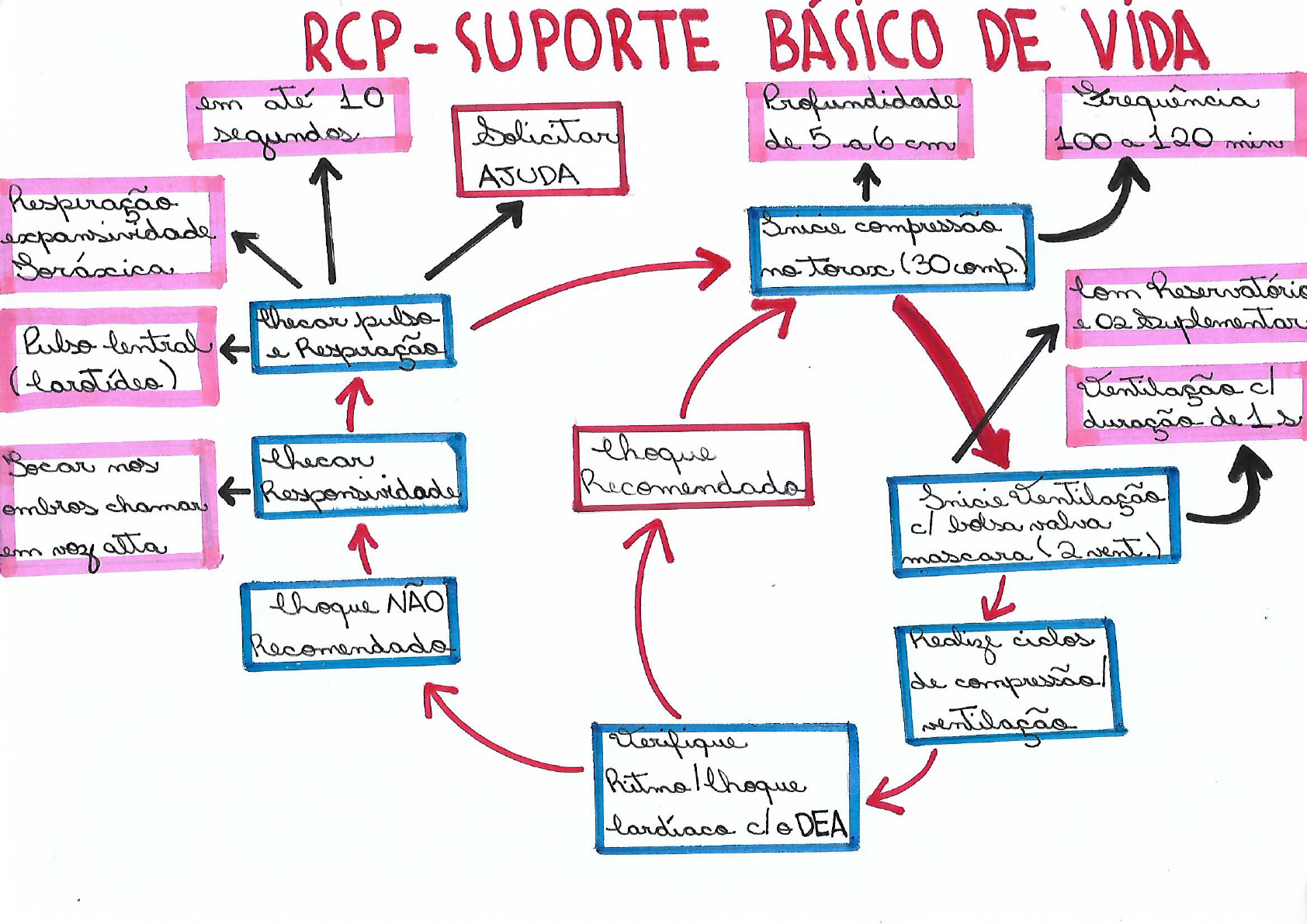 Mapa Conceitual Digitalizado SBV Saúde do Adulto