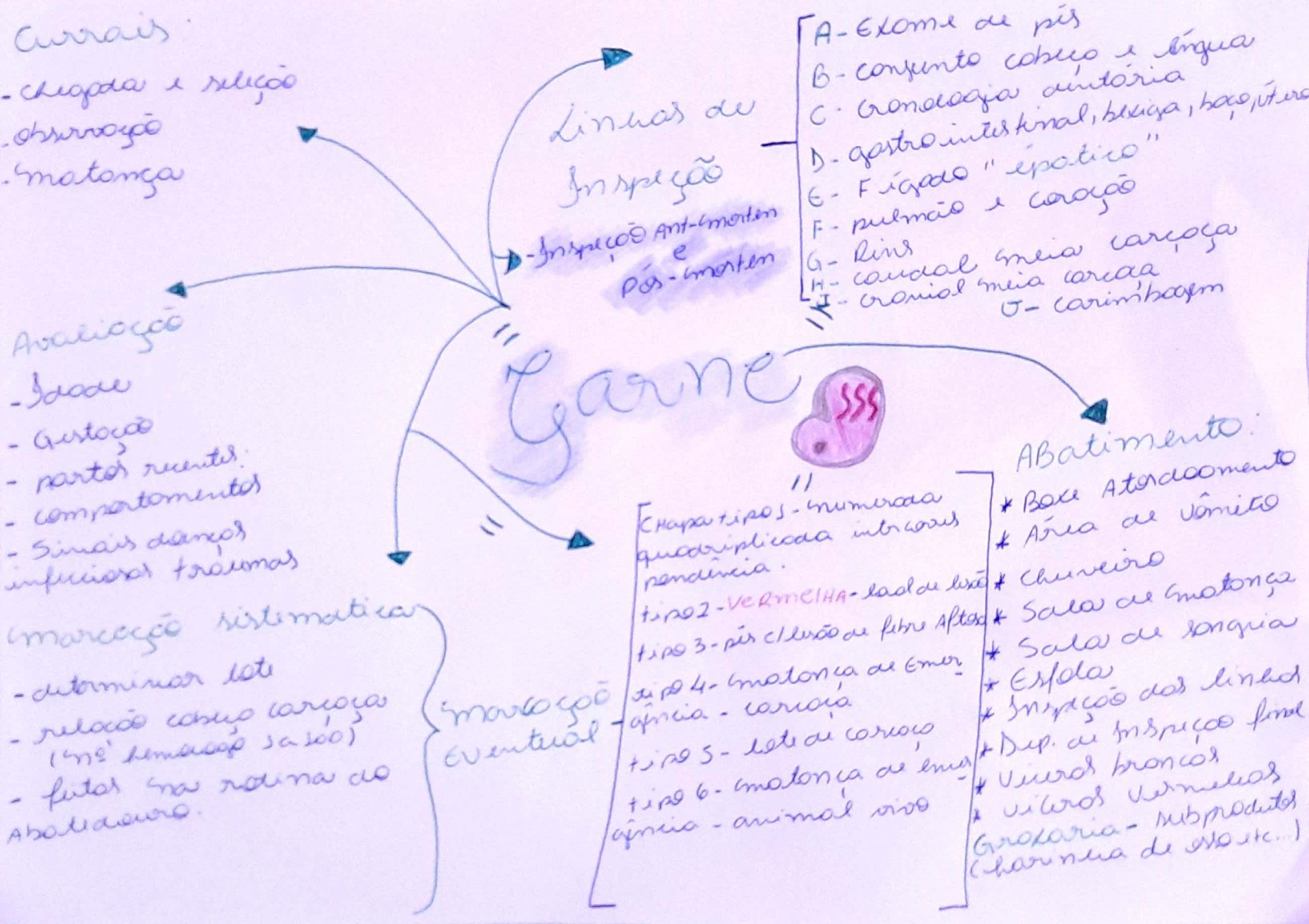 Mapa Mental Carne Higiene E Inspe O De Carnes E Pescado