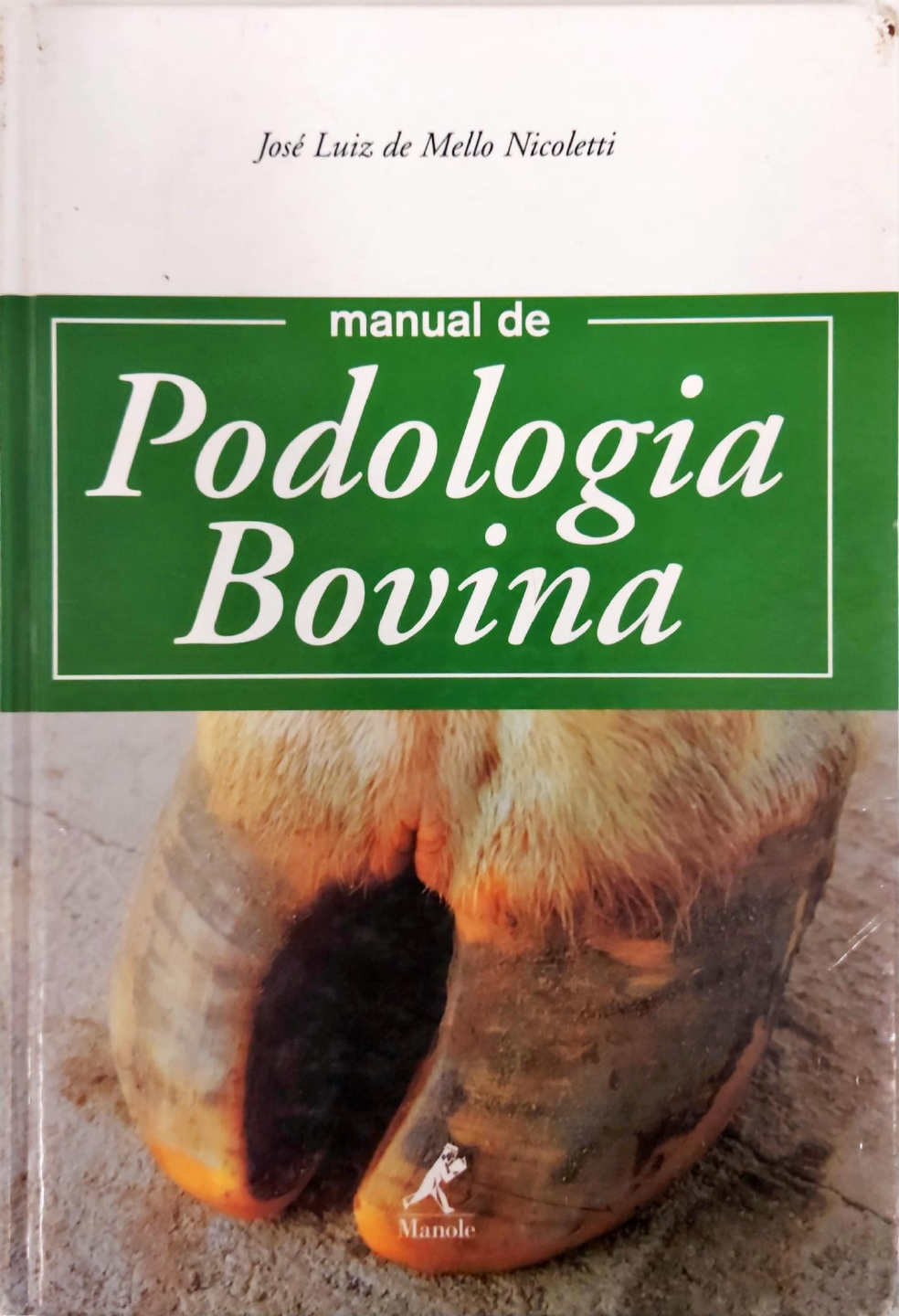 Podologia Bovina Nicoletti Clínica Médica de Grandes Animais