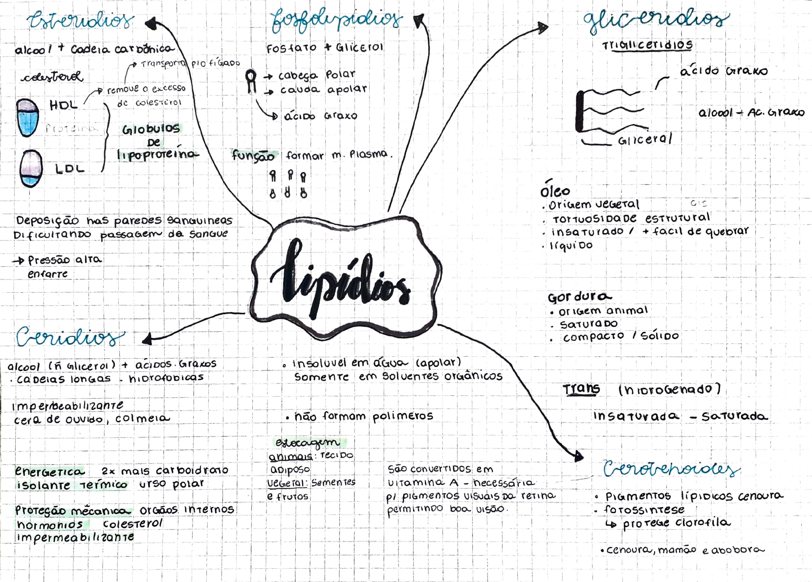 Lipidios Mapa Mental Sitelip Org