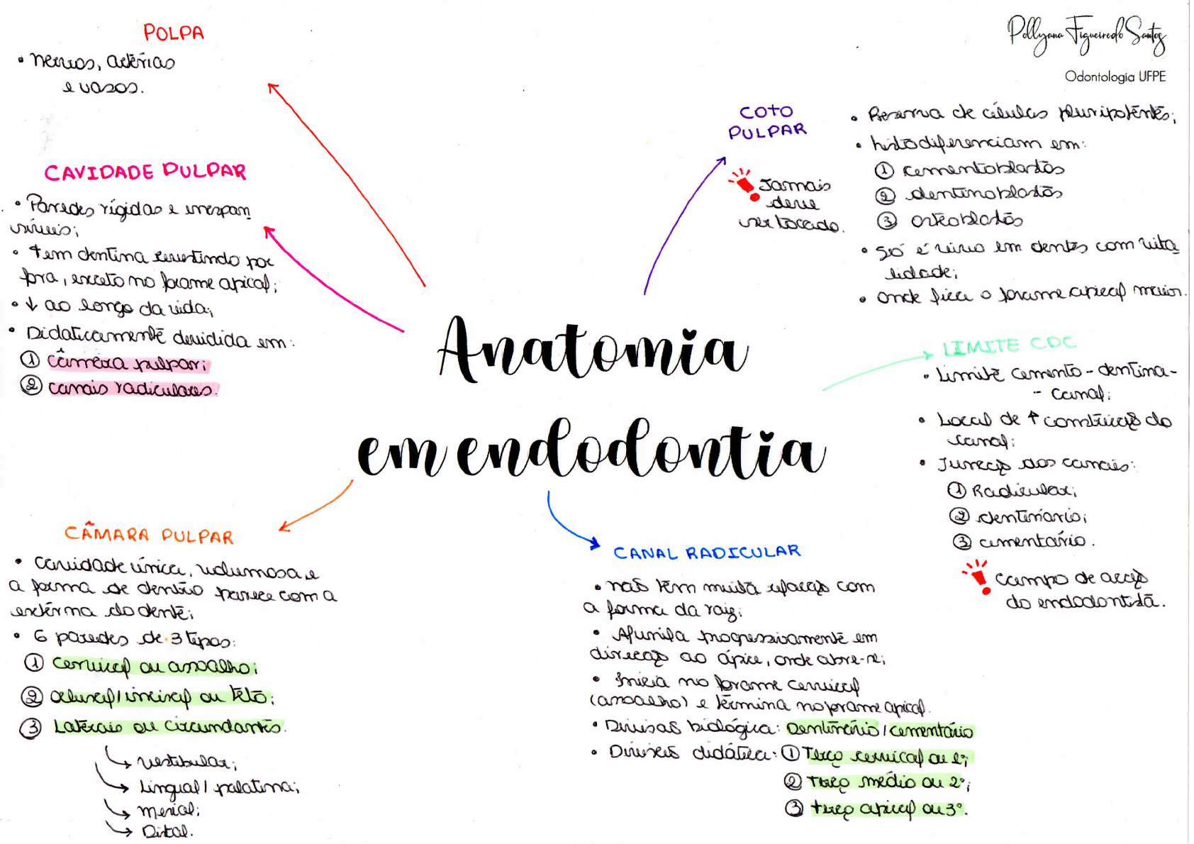 Mapa Mental Odontologia