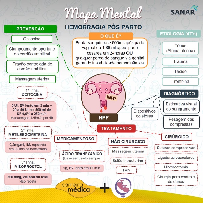 Mapa Mental Hpp Miss O Sanar Sa De Da Mulher