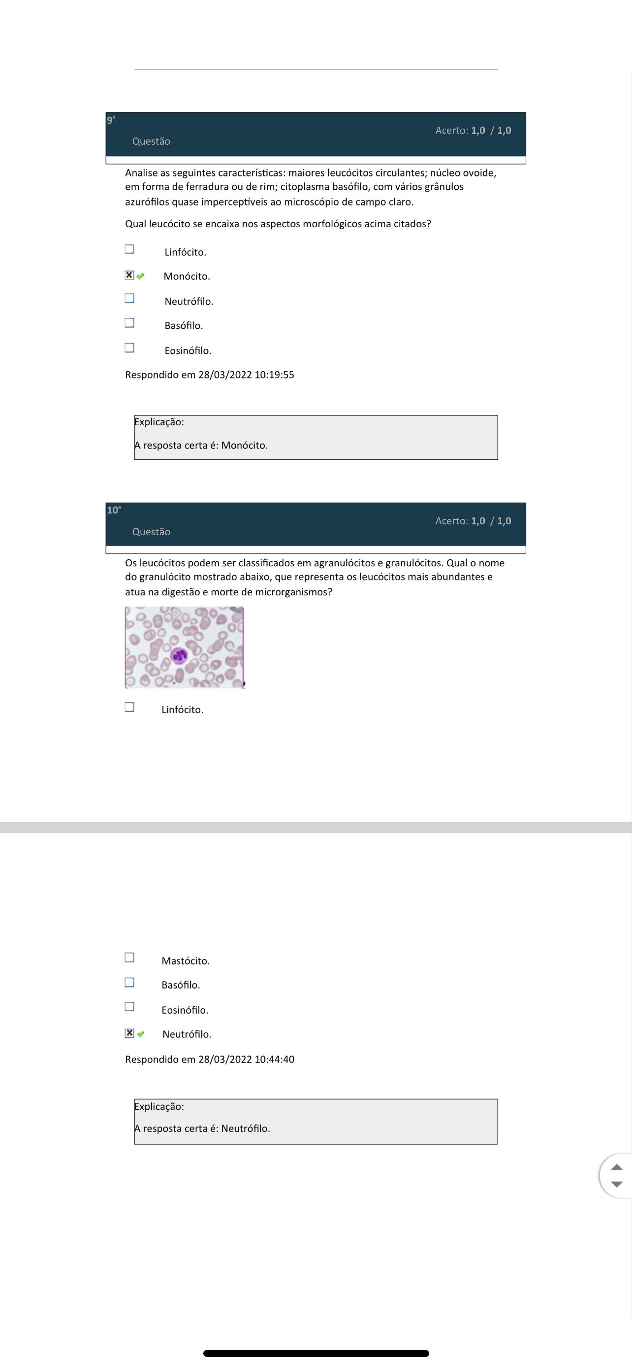 Simulados Histologia Humana