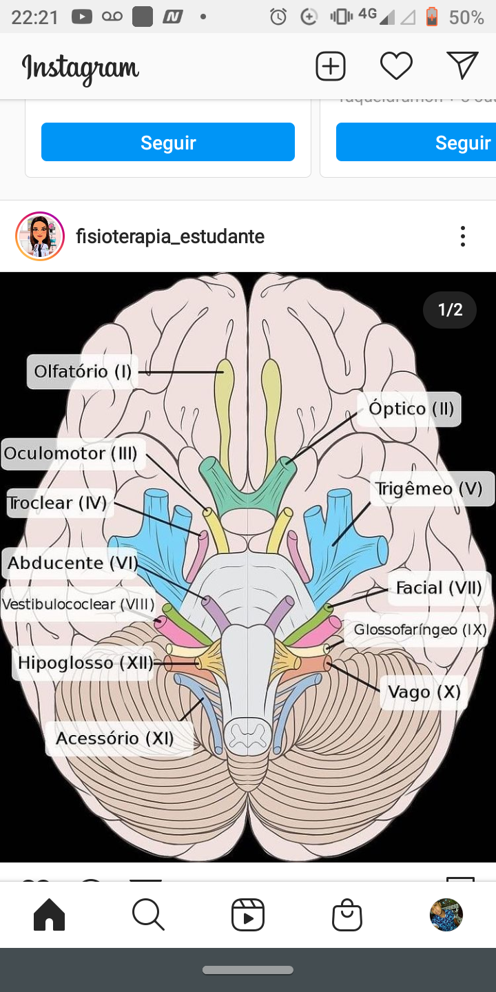 Neuroanatomofisiologia Neuroanatomia E Neurofisiologia