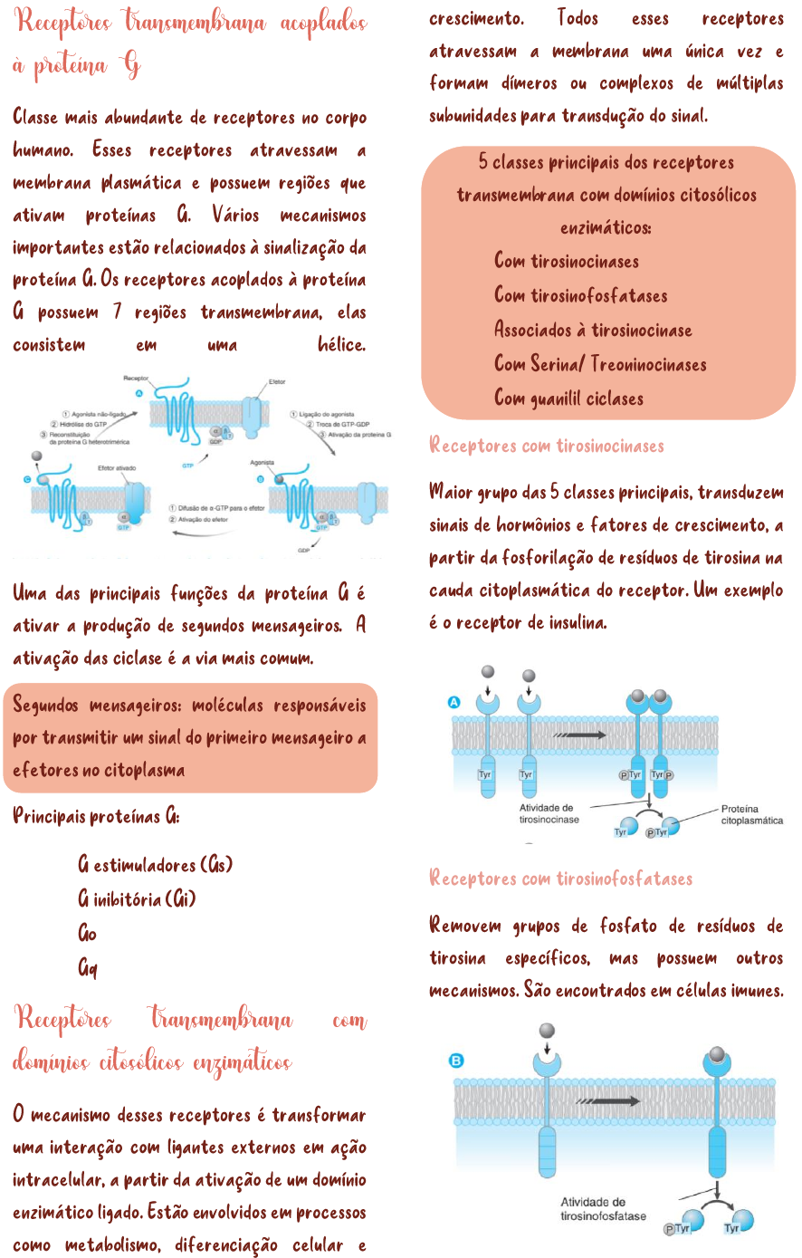 Tipos de receptores de fármacos Farmacologia I