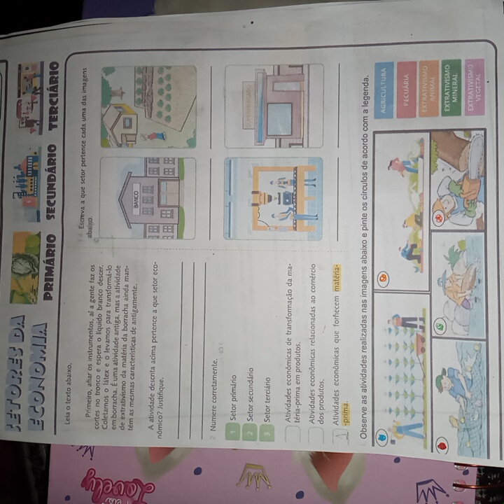 Setores Da Economia Geografia