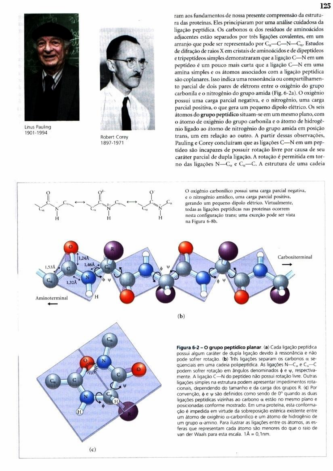 Estrutura Tridimensional Das Proteinas Cap Bioqu Mica I