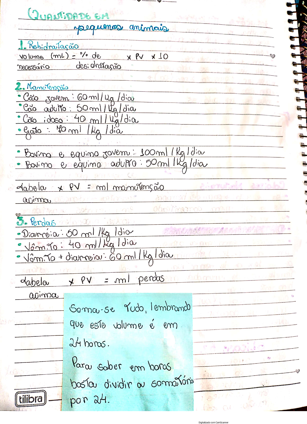 Como Calcular Fluidoterapia Em C Es Librain