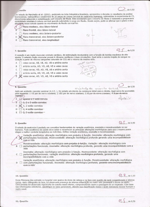 Av Anatomia Sistemica Anatomia Sist Mica