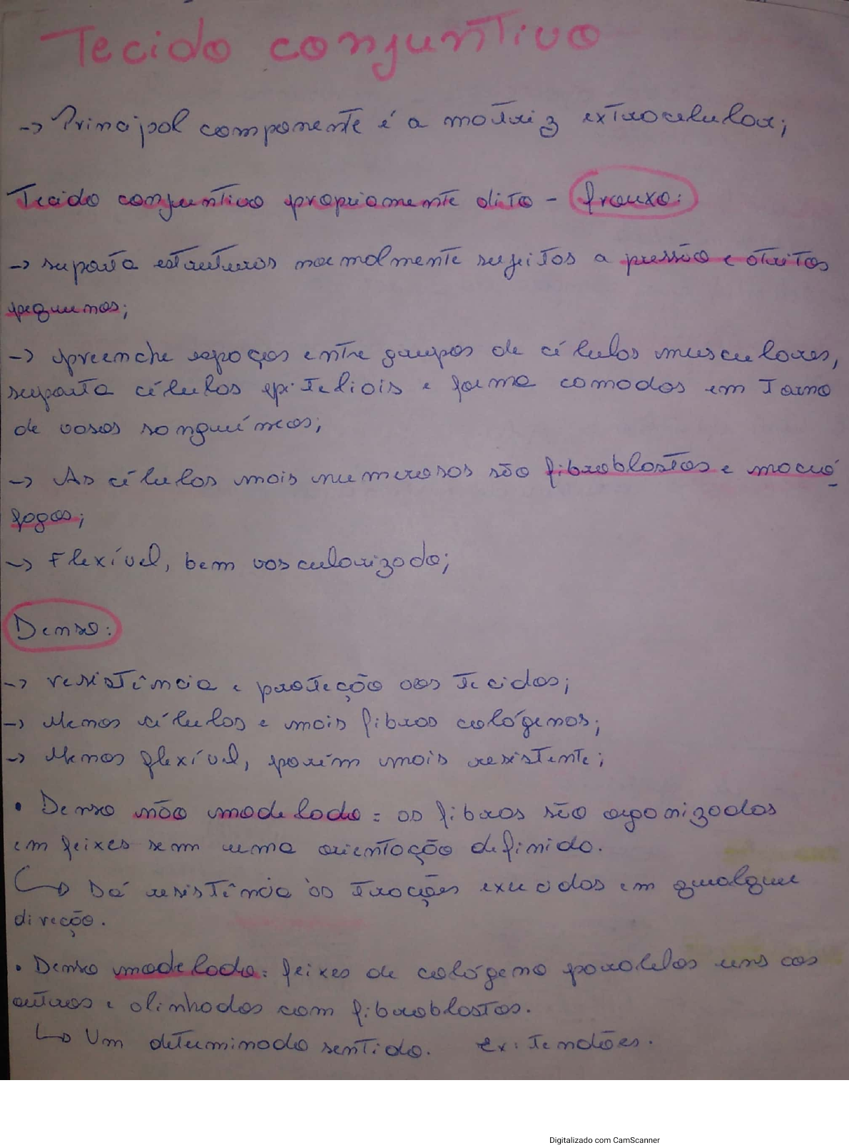 Histologia Tecido Conjuntivo Histologia E Embriologia