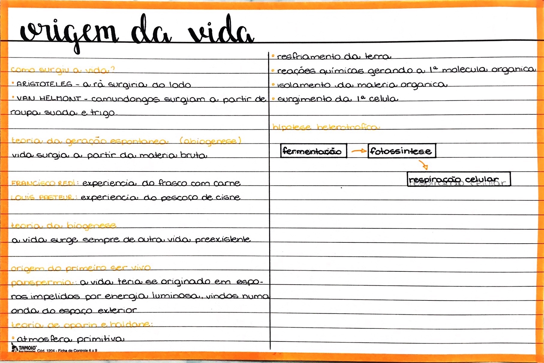 Mapa Mental De Biologia Origem Da Vida Biologia