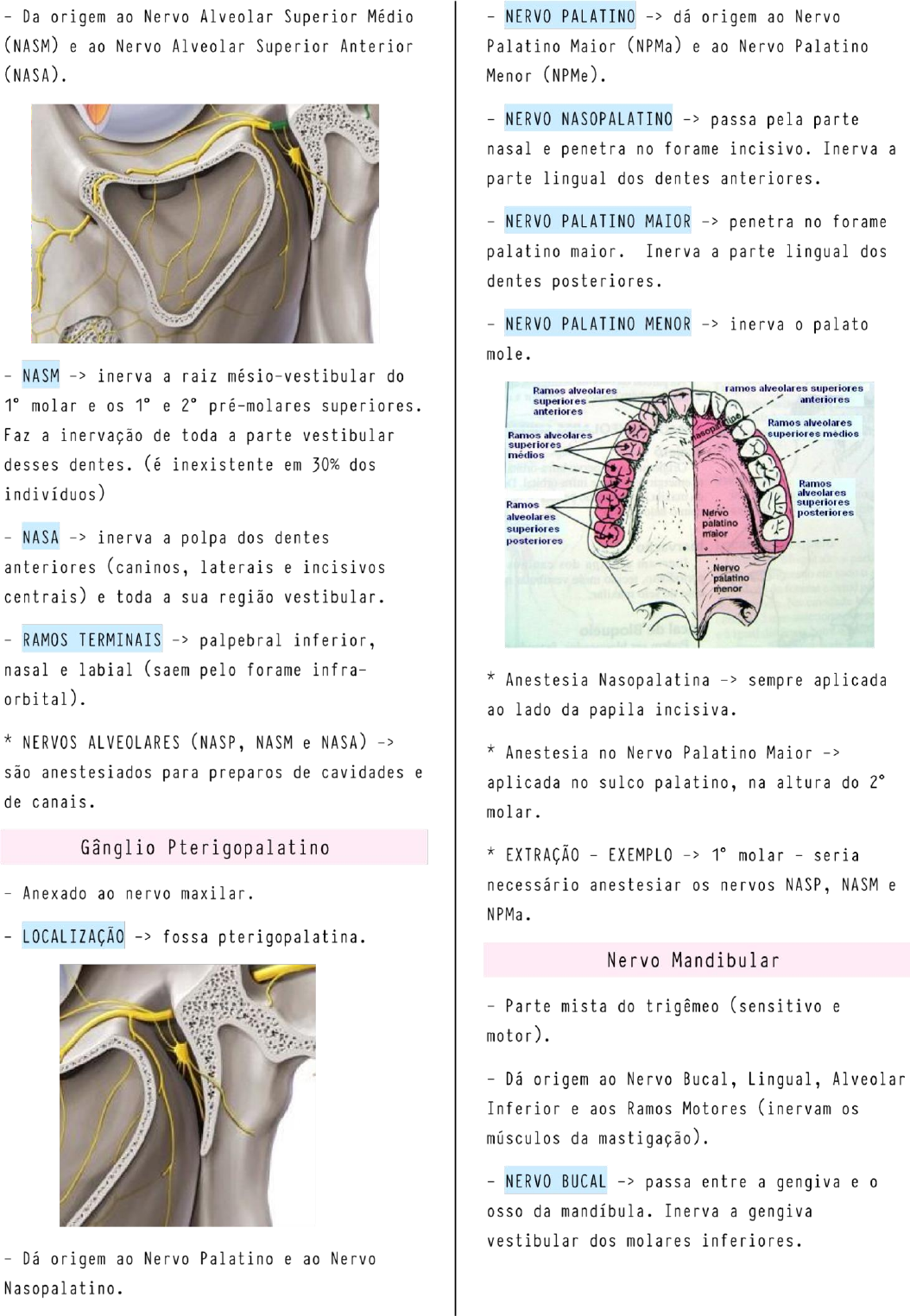 Resumo de Nervo Trigêmeo 2 Anatomia de Cabeça e Pescoço