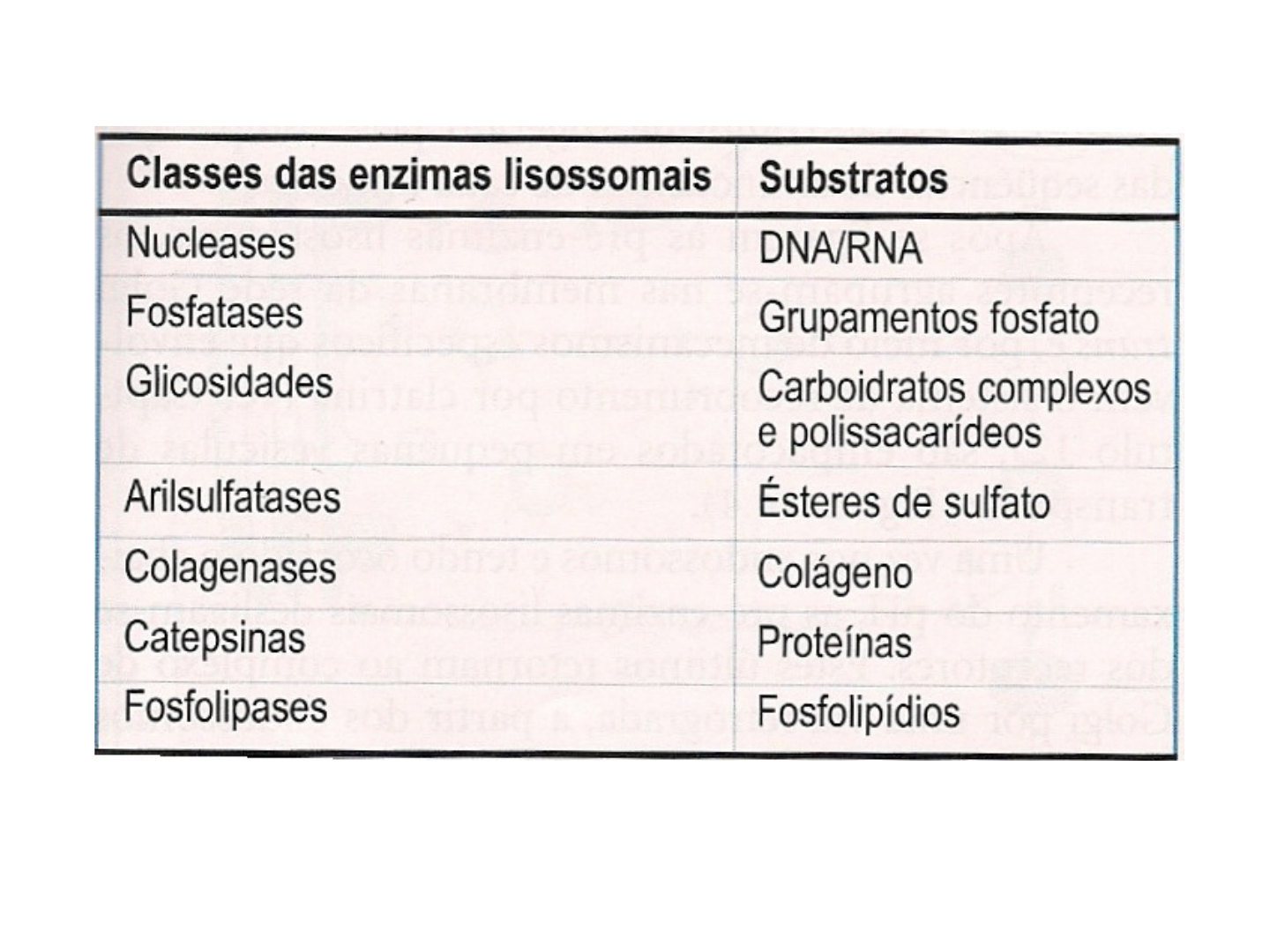 Aula Lisossomos Processos Biologicos Processos Biol Gicos