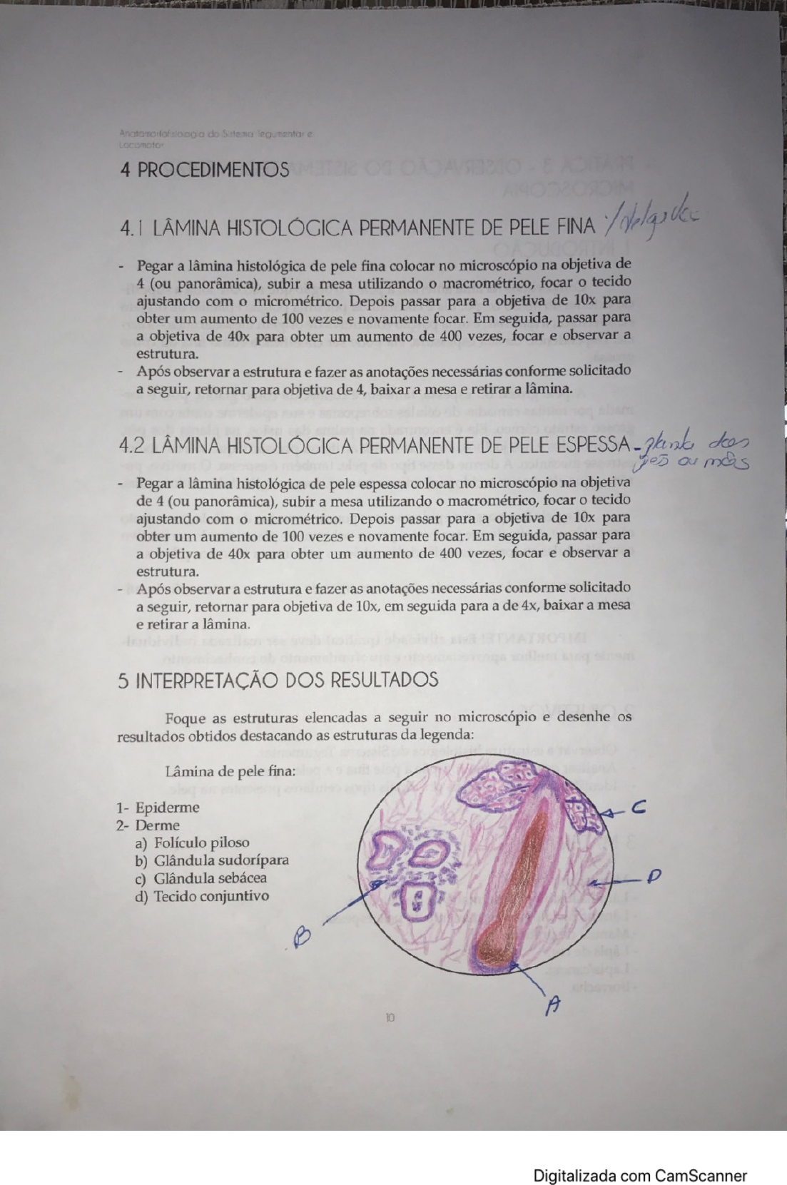 Manual De Pr Ticas Da Disciplica De Anatomorfologia Do Sistema