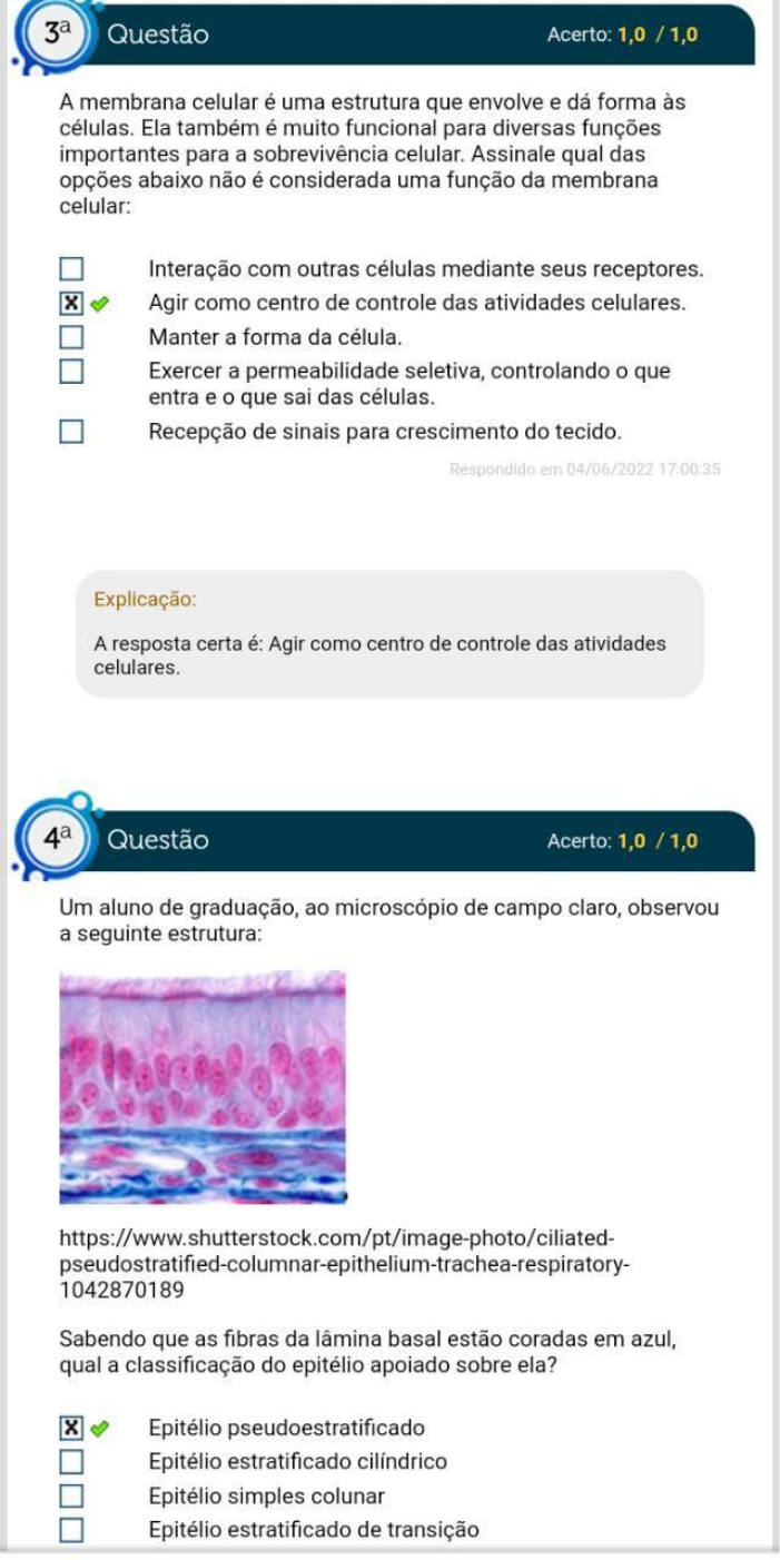 Simulado Av Histologia E Embriologia Histologia E Embriologia