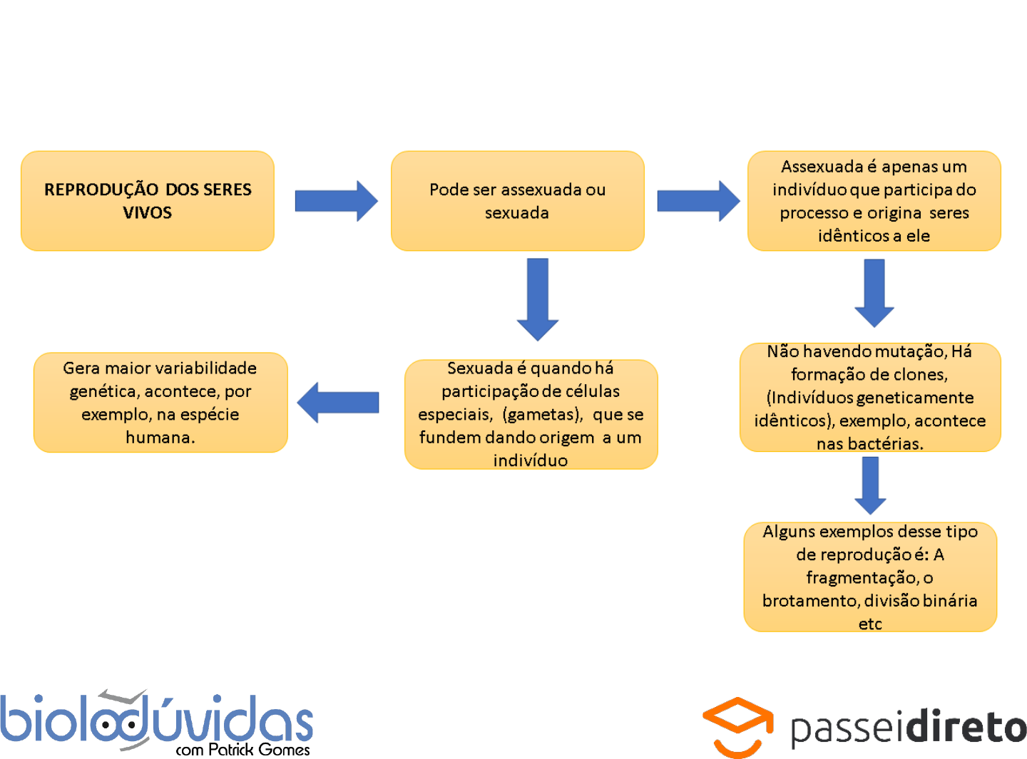 Reprodu O Assexuada O Que Tipos Exemplos E Mapa Mental