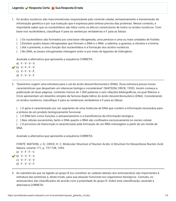 Avaliação Individual Fisioterapia