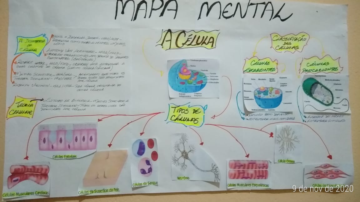 A CÉLULA mapa mental Quimica Organica Ambiental