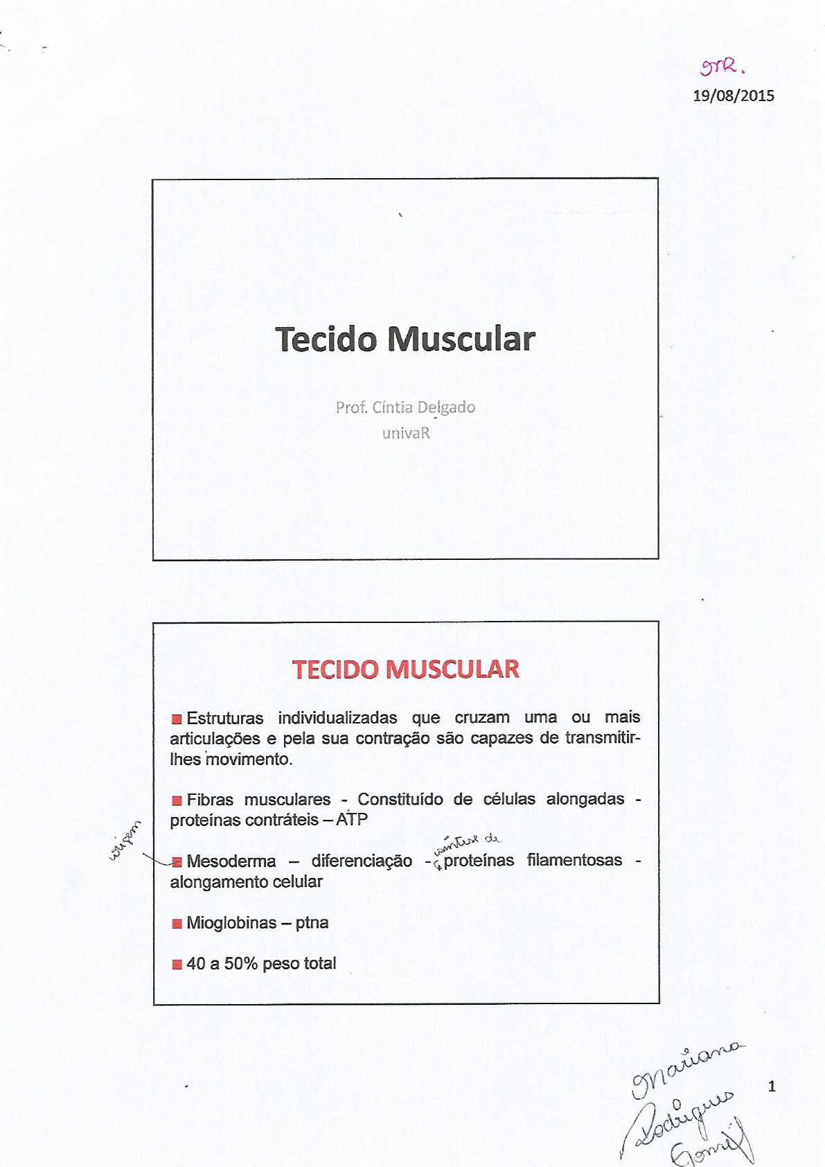 Tecido Muscular Biologia Celular