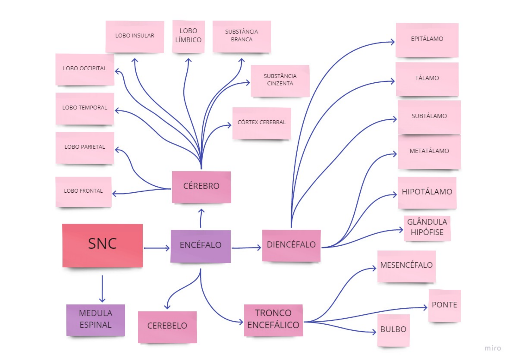 Mapa Mental B Sico Neuroanatomia Neuropsicologia The Best Porn Website