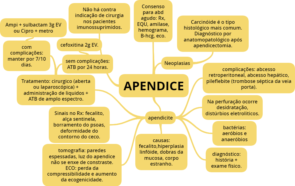 Apendicite Gastroenterologia