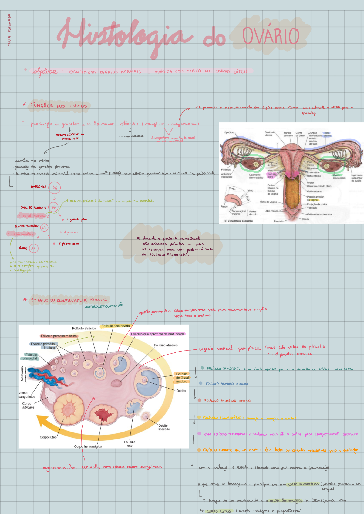 Histologia do Ovário Histologia I