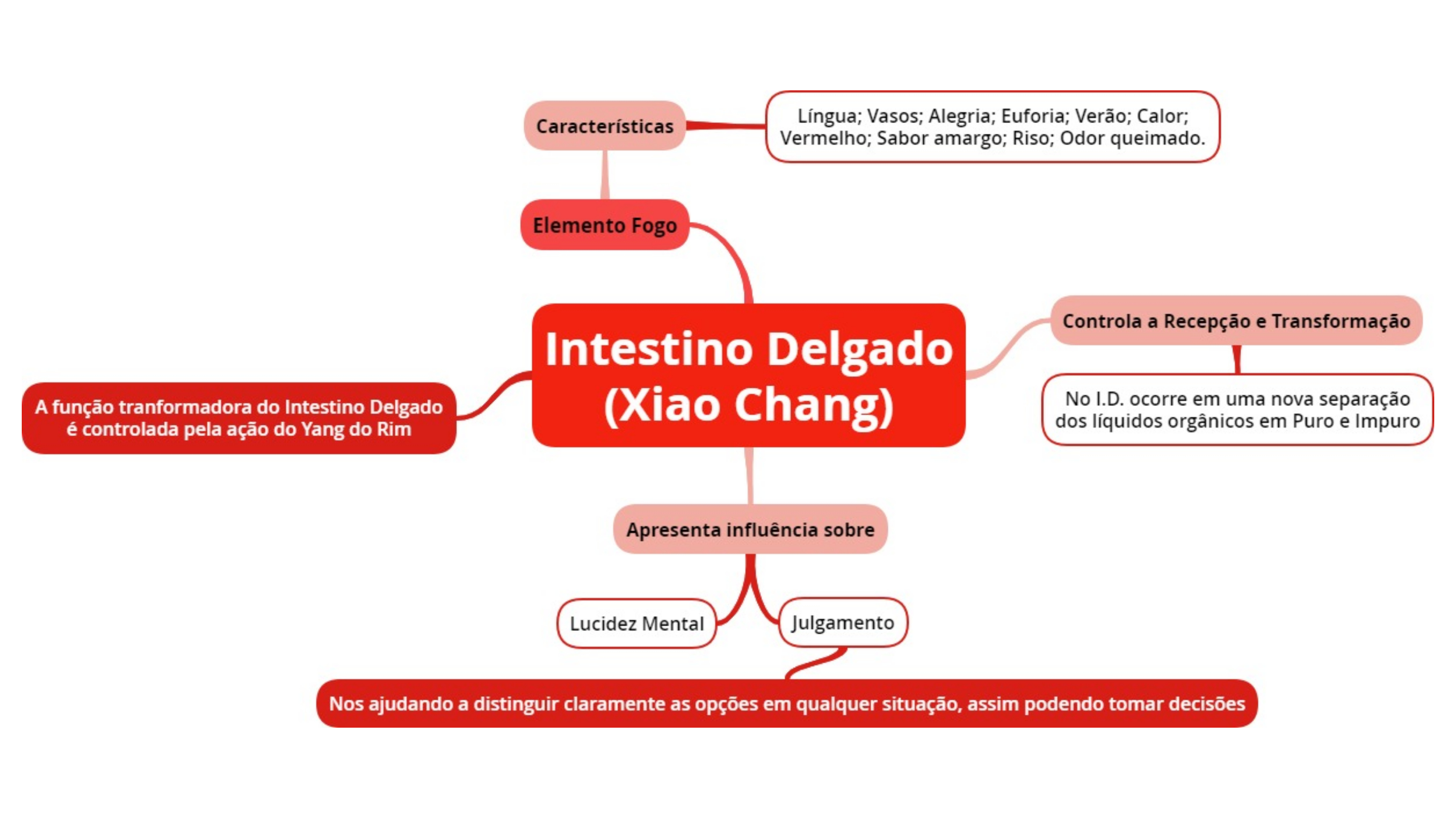 Mapa Conceitual Sobre Intestino Delgado Xiao Chang MTC Medicina