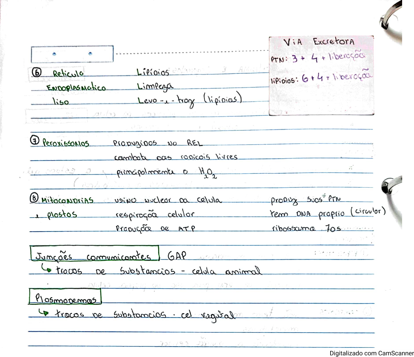 Citoplasma E Organelas Biologia