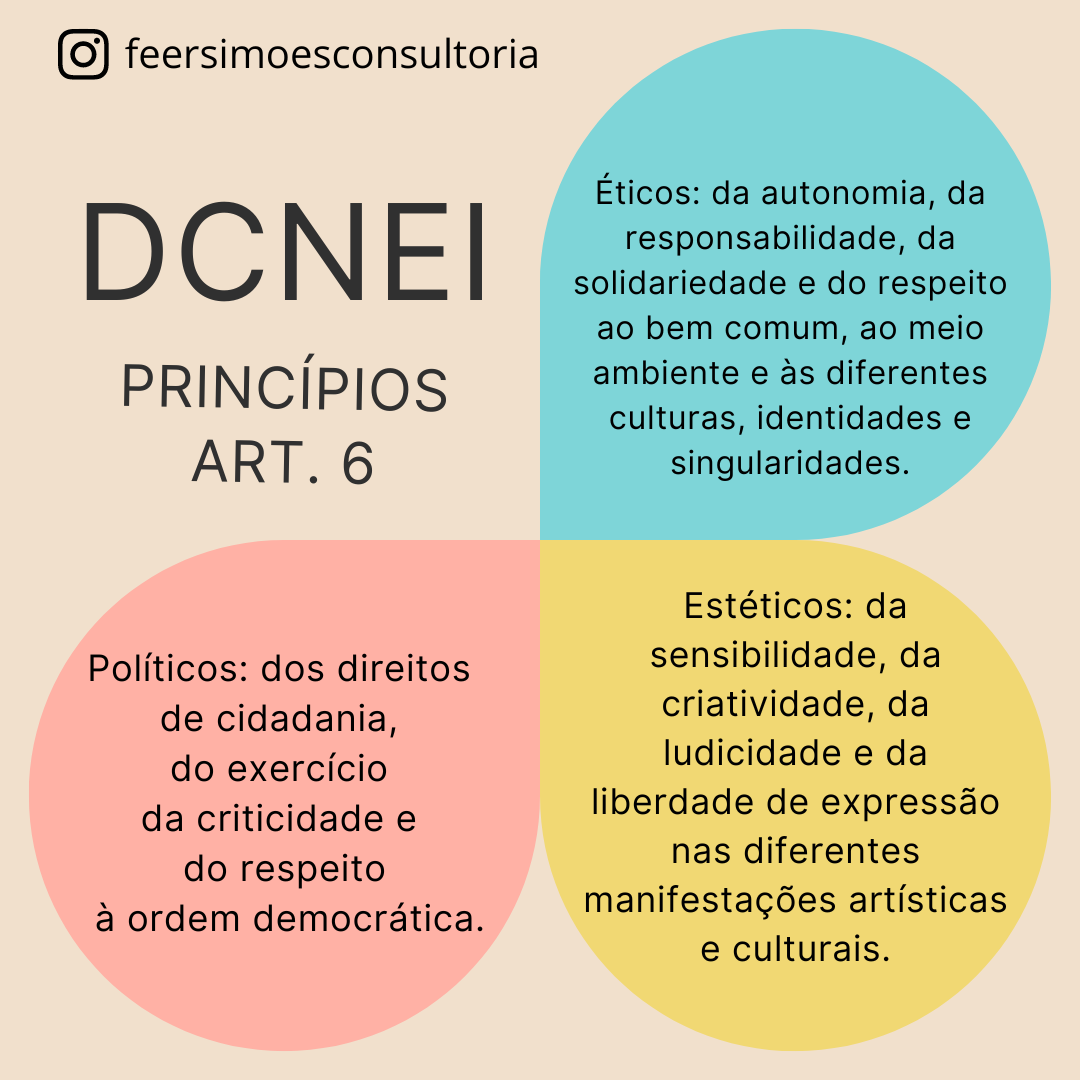 DCNEI Princípios Fundamentos da Educação Infantil