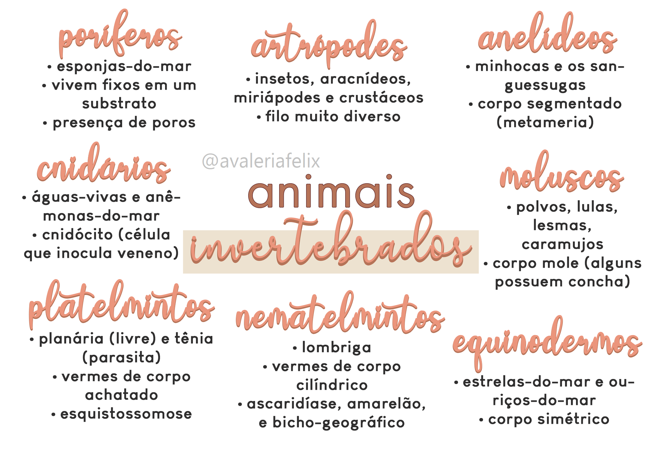 Resumo Animais Invertebrados Biologia