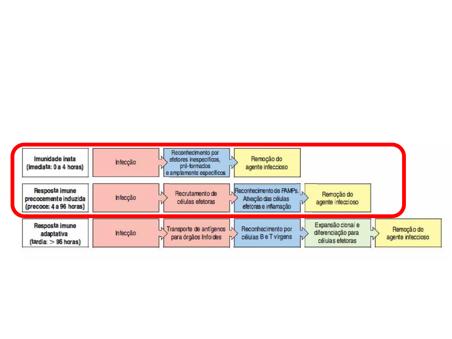 2a Aula Imunidade Inata (parte 1) - Imunologia